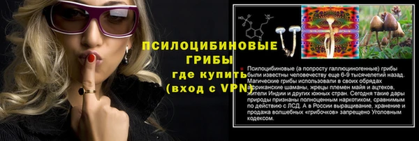 мдпв Бугульма