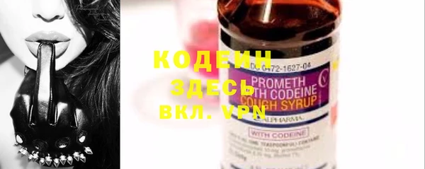 стаф Богородицк