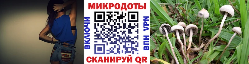 дарнет шоп  Демидов  Галлюциногенные грибы ЛСД 